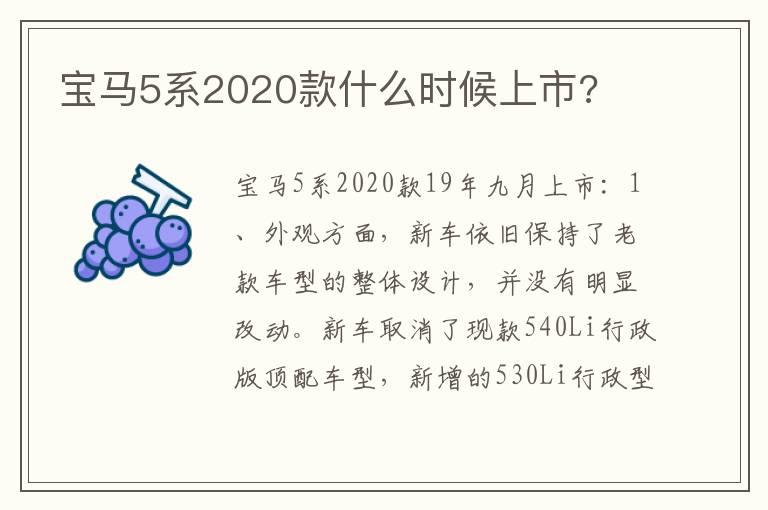 宝马5系2020款什么时候上市?