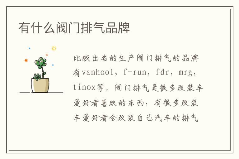 有什么阀门排气品牌