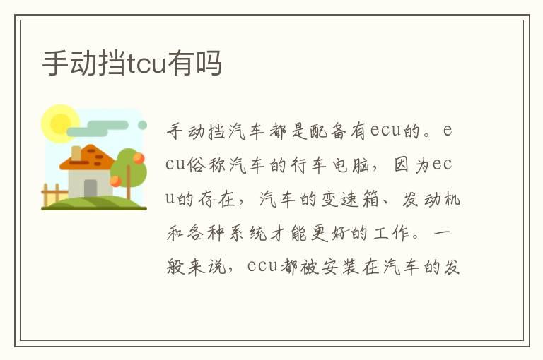 手动挡tcu有吗