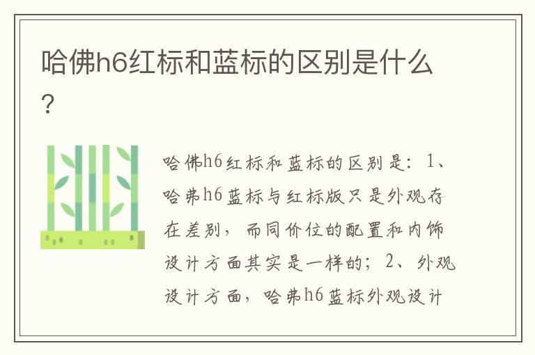 哈佛h6红标和蓝标的区别是什么?