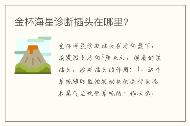 金杯海星诊断插头在哪里?
