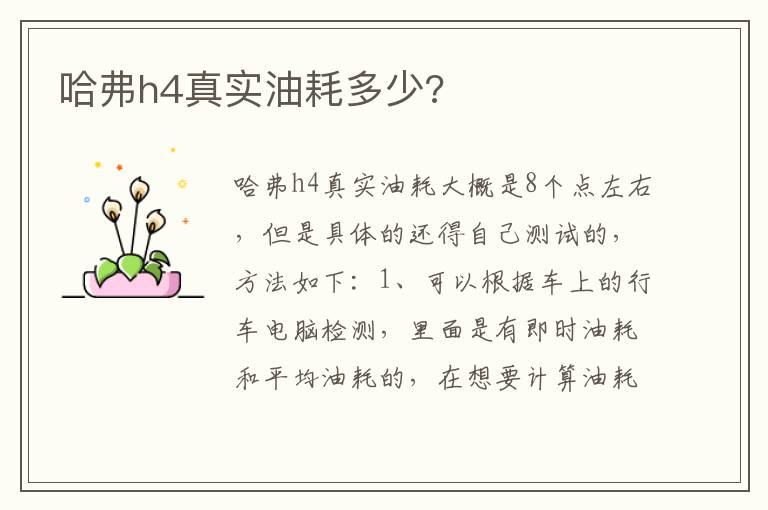 哈弗h4真实油耗多少?