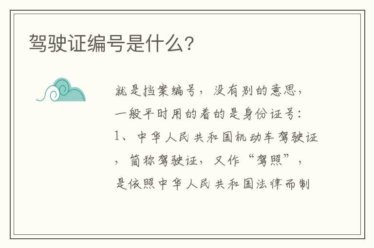 驾驶证编号是什么?