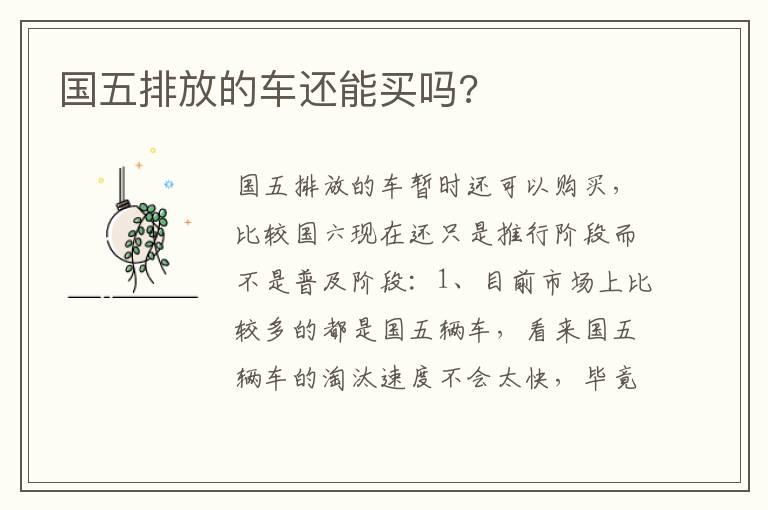 国五排放的车还能买吗?