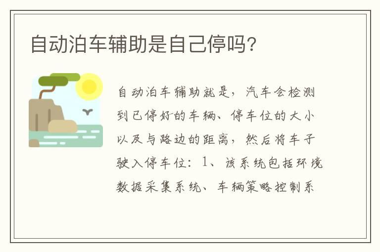 自动泊车辅助是自己停吗?
