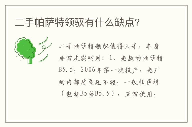 二手帕萨特领驭有什么缺点?