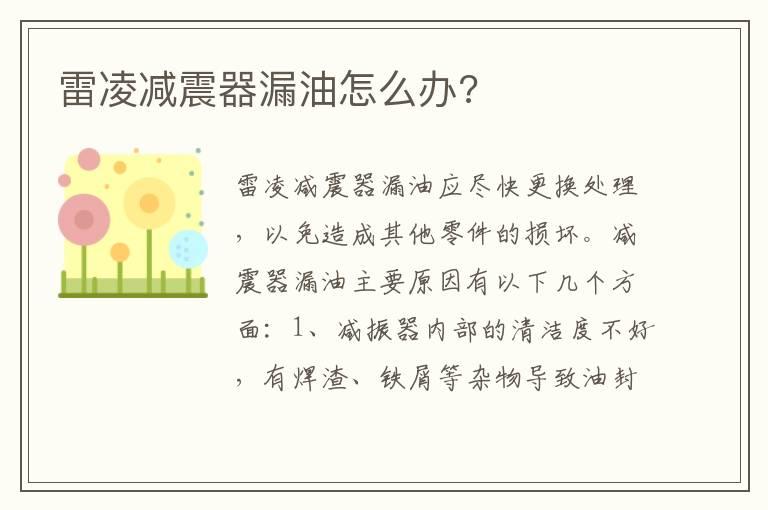 雷凌减震器漏油怎么办?