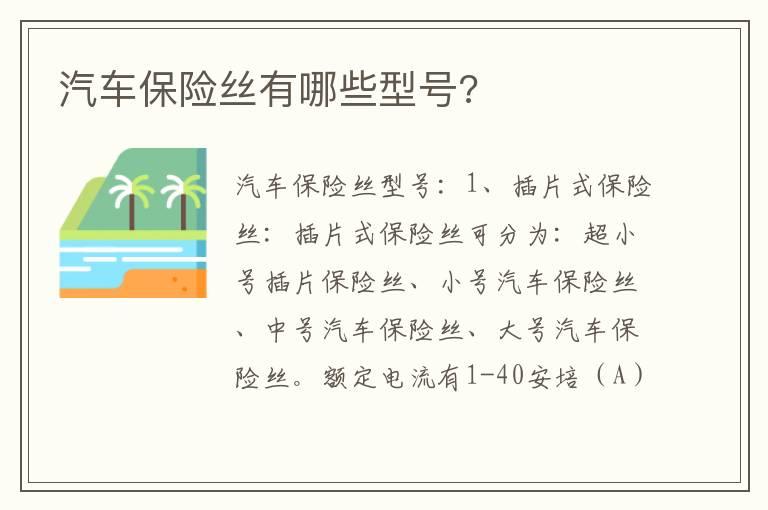汽车保险丝有哪些型号?