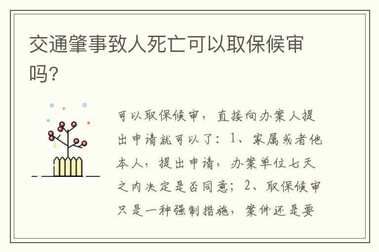 交通肇事致人死亡可以取保候审吗?