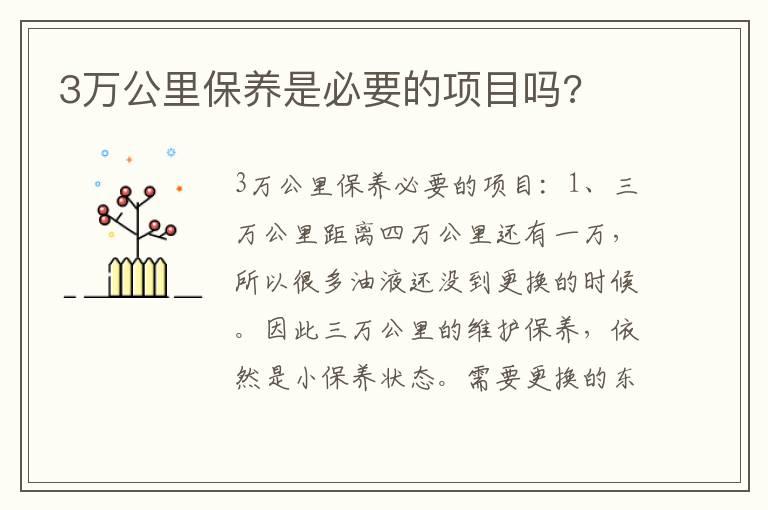 3万公里保养是必要的项目吗?
