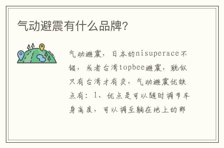 气动避震有什么品牌?
