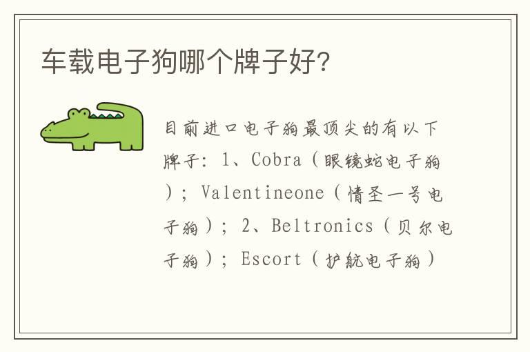 车载电子狗哪个牌子好?