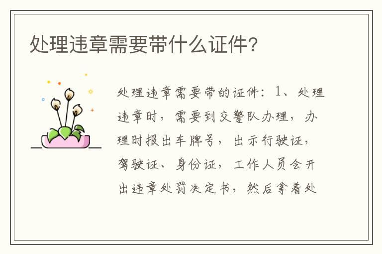 处理违章需要带什么证件?