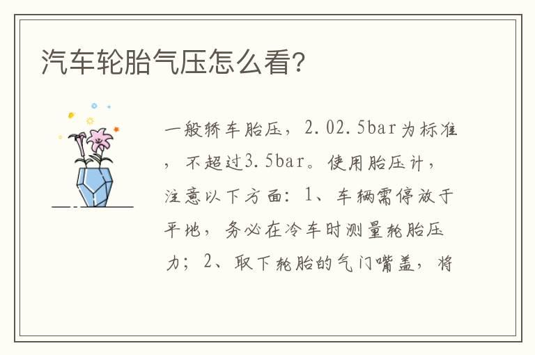 汽车轮胎气压怎么看?