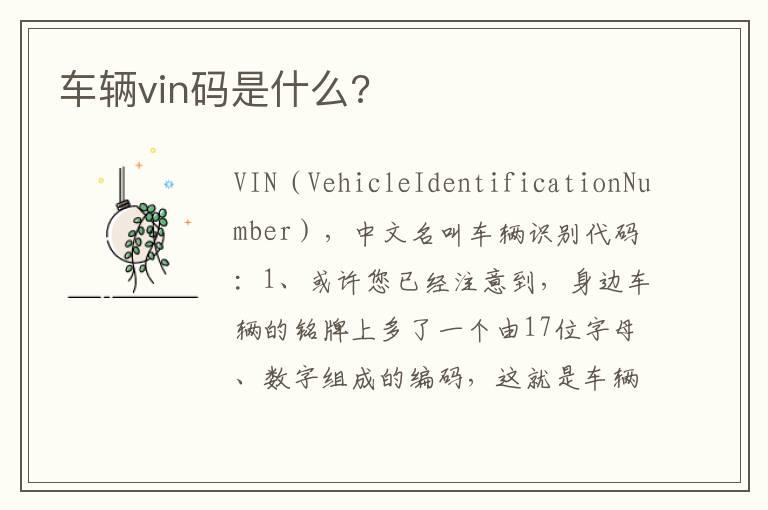 车辆vin码是什么?