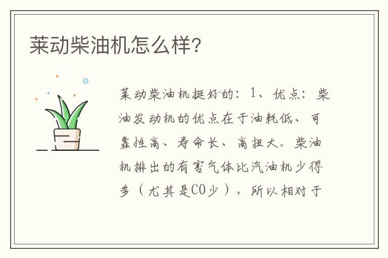 莱动柴油机怎么样?