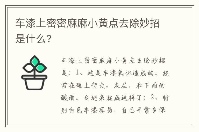 车漆上密密麻麻小黄点去除妙招是什么?