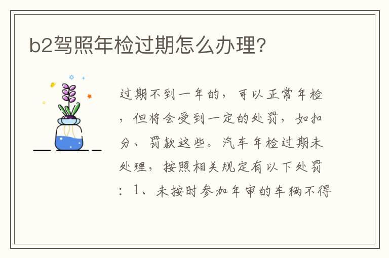 b2驾照年检过期怎么办理?