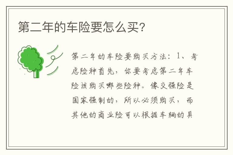 第二年的车险要怎么买?