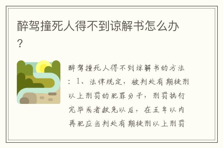 醉驾撞死人得不到谅解书怎么办?