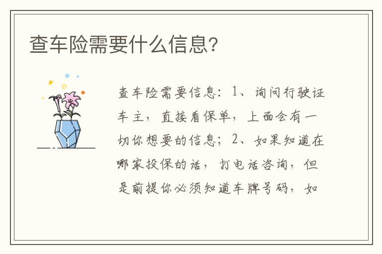 查车险需要什么信息?
