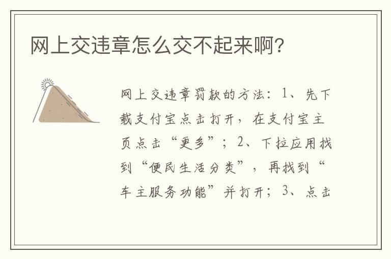 网上交违章怎么交不起来啊?