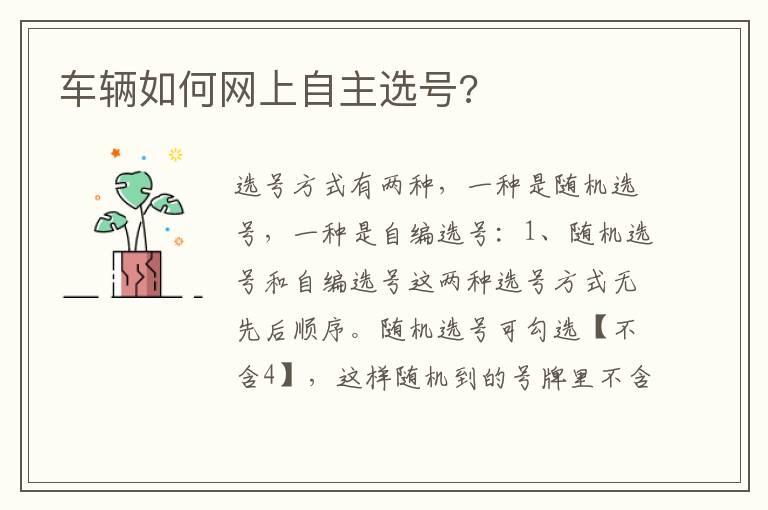 车辆如何网上自主选号?