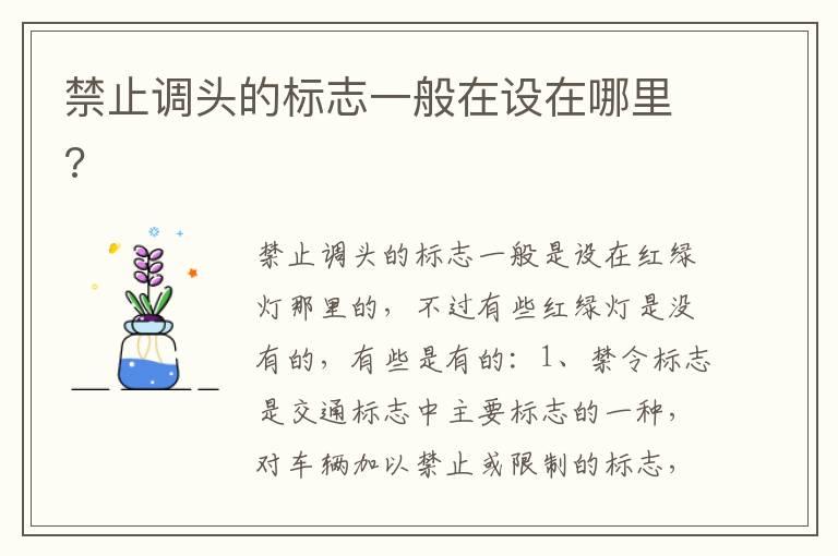 禁止调头的标志一般在设在哪里?
