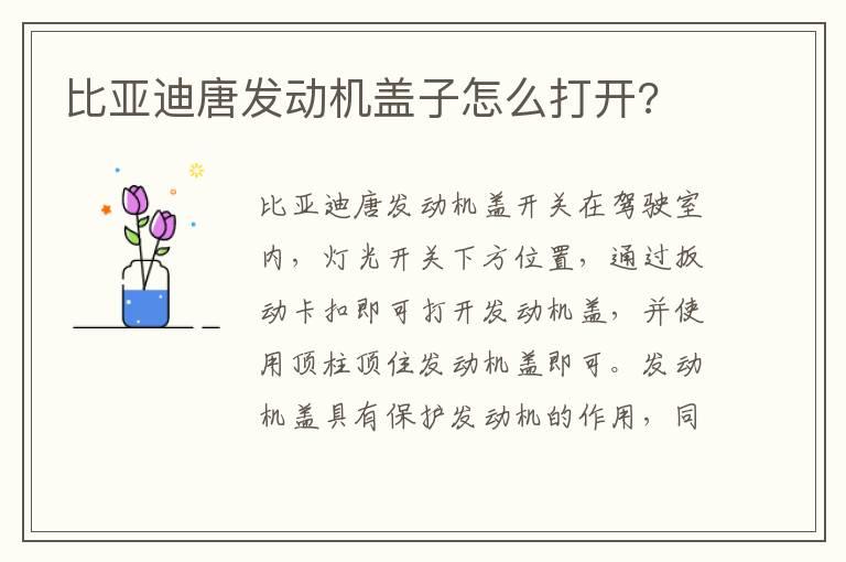 比亚迪唐发动机盖子怎么打开?