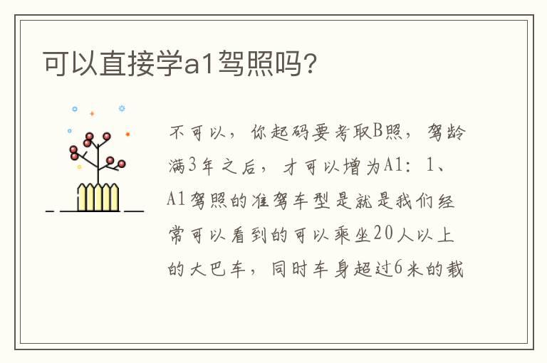 可以直接学a1驾照吗?