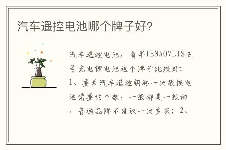 汽车遥控电池哪个牌子好?