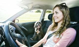 副驾驶怎么调座椅 副驾驶调座椅的方法