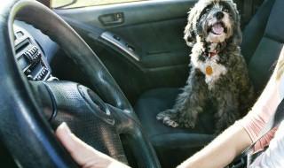 汽车空调有异味是什么原因 汽车空调有异味的原因