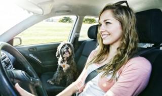 汽车分区空调是自动空调吗 汽车分区空调是否是自动空调