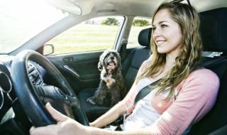 深圳驾驶证过期了怎么换证 深圳驾驶证过期了怎么办理换证