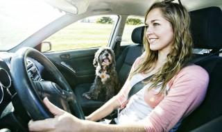 唐空调异味怎么处理 唐空调异味如何处理