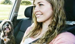 汽车座套选购方法是什么 汽车座套选购方法有哪些