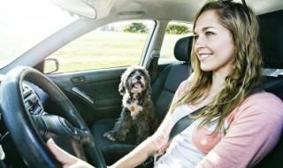 驾驶证可以提前年审吗 驾驶证能够提前年审吗