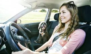 手机怎么查驾驶证信息 你知道手机怎么查驾驶证信息吗