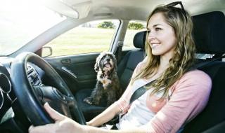 怎么换领新驾驶证 你知道怎么换领新驾驶证吗