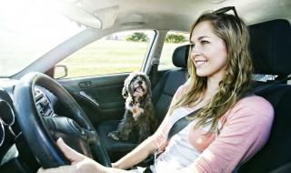 怎么查驾驶证违章记录 你知道怎么查驾驶证违章记录吗