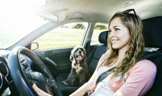 外地驾驶证可以在当地年审吗 外地驾驶证能在当地年审吗