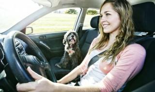 汽车内饰发霉怎么处理 汽车内饰发霉如何处理