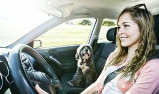 etc怎么办理在哪办 etc的办理方法