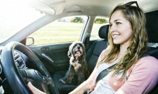 汽车玻璃怎么除雾(汽车玻璃怎么除雾?)