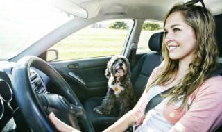 奥迪a6天棚下陷怎么回事，奥迪a6顶棚渗水原因