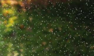 奥迪刹车盘下雨生锈怎么回事（下雨了刹车盘生锈）