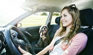 奥迪a3数据总线基本调整方法（奥迪a3设置）