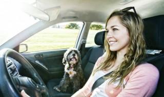 奥迪q5l如何在车内打开后备箱 奥迪q5l怎么打开后备箱