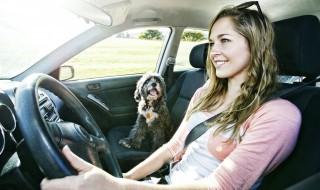 如何关闭奥迪a3导航语音播报(奥迪a3如何关闭广播)